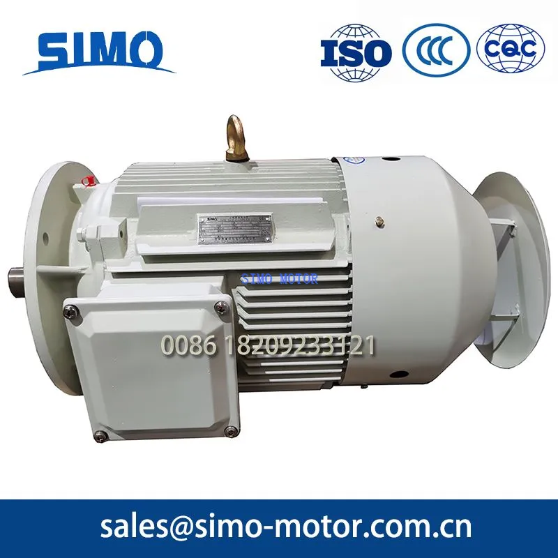 2 Pole Induction Motor - Simo Ye3 Series